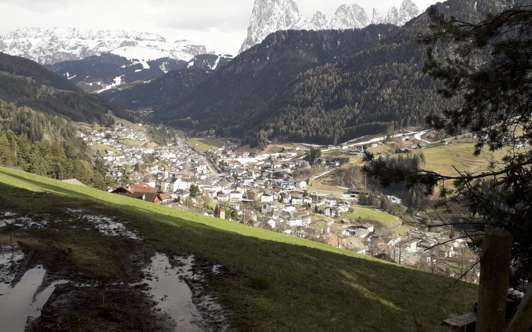 Language Policy & Planning des Dolomitenladinischen